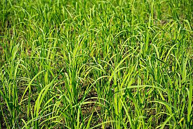 酷睿i5 14600K史低价促销 还送《战地6》游戏